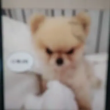 Profile image of 평학