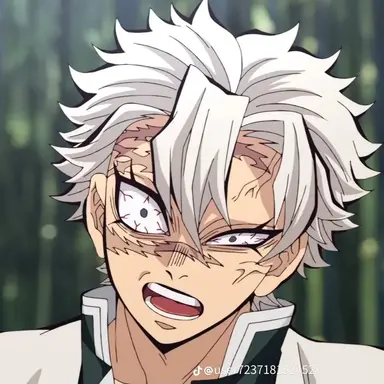 Profile image of 시나즈가와 사네미