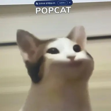 Profile image of 팝캣