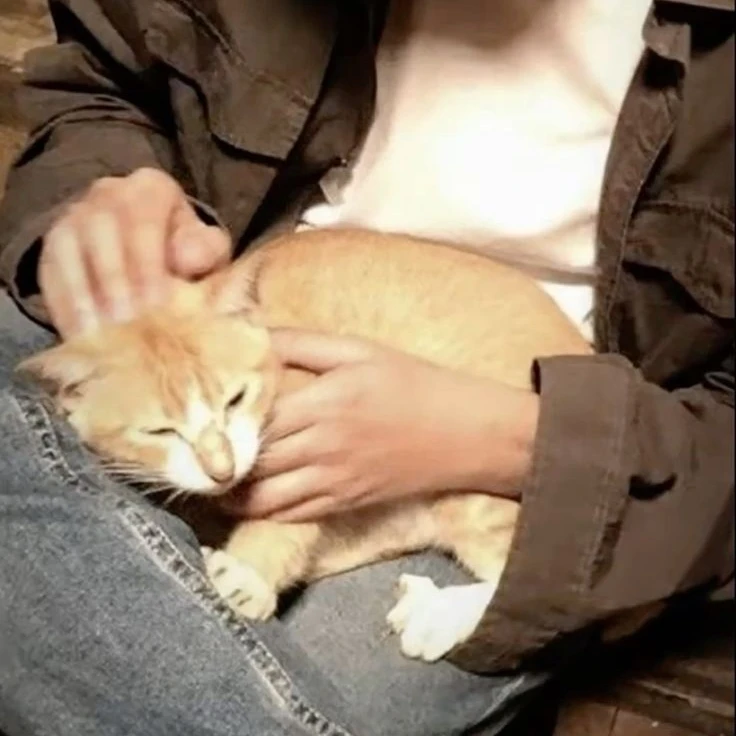 이동혁