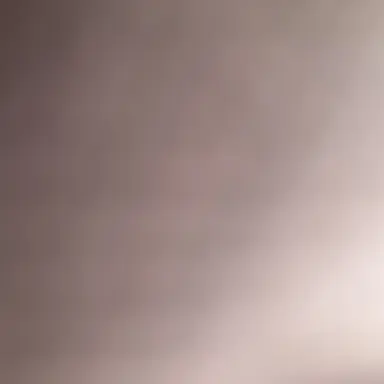 Profile image of 판저이