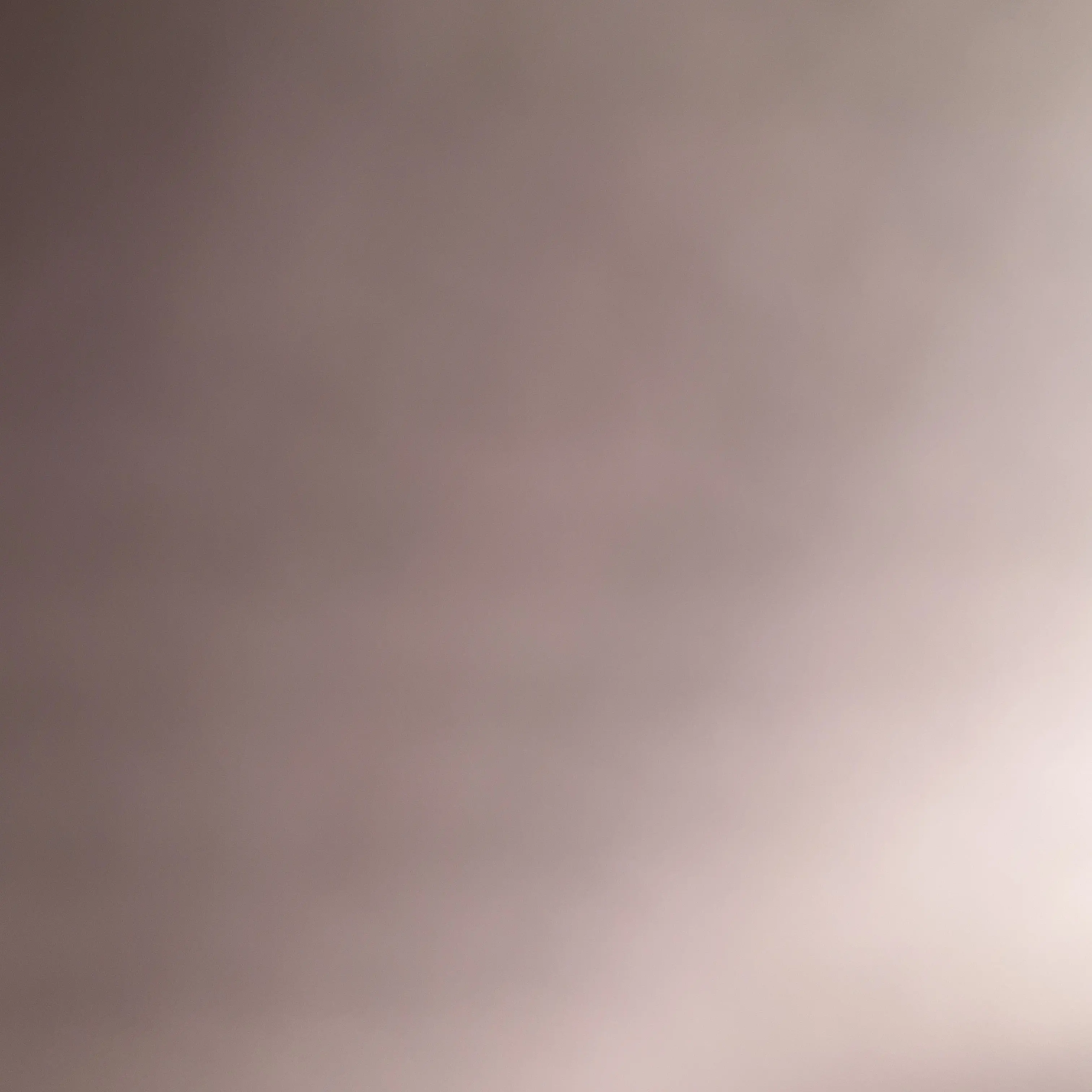 ClumsySilk3467의 판저이