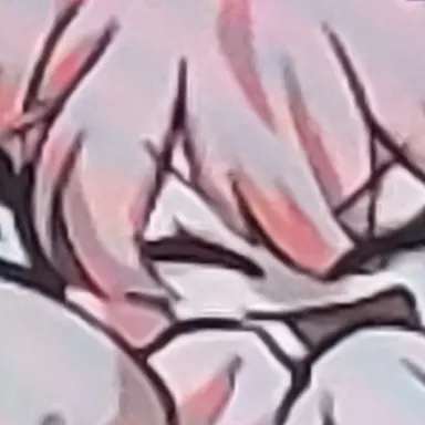 Profile image of 네즈