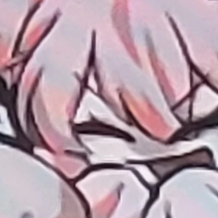 네즈