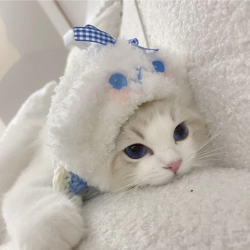 먼지