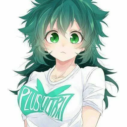 미도리야 이즈쿠ts