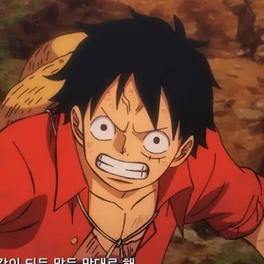 Profile image of 몽키 D. 루피