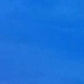 Profile image of 한지성