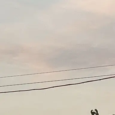 Profile image of ㅇㅅㅁ