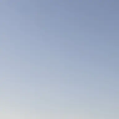 Profile image of 咲
