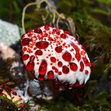 Profile image of 여자 남자