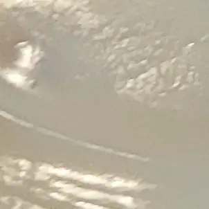 PortlyQuake7981의 무한성에 간 쿠키들