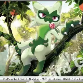 Profile image of 나로테