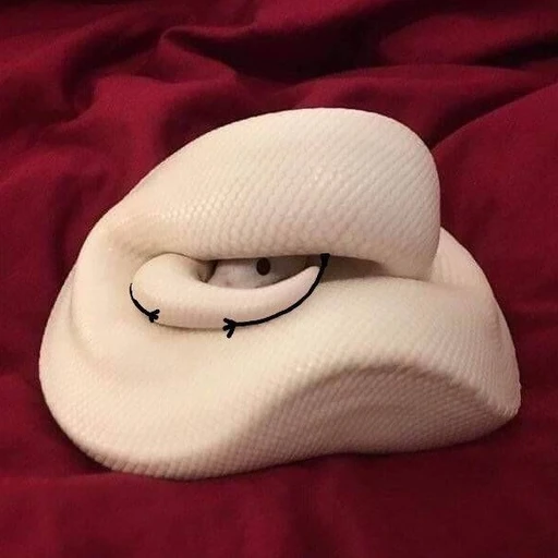 .