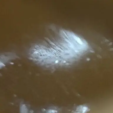 Profile image of user