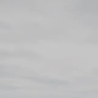 Profile image of 슬리