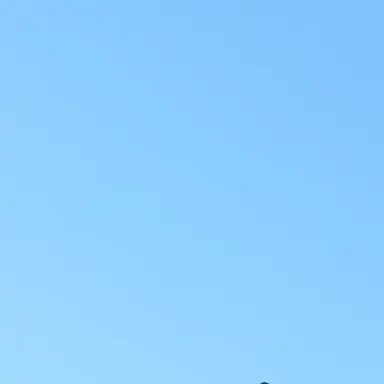 Profile image of 잠뜰