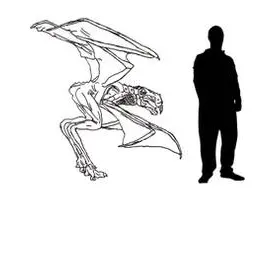 Profile image of 프테로버자드