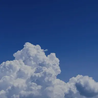 Profile image of 전하엘