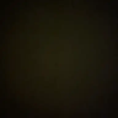 Profile image of 권지용