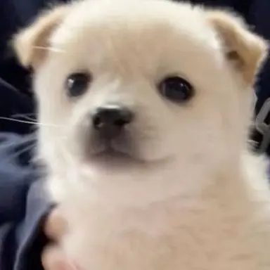 Profile image of 성요한