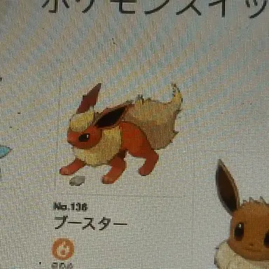 Profile image of 藤田あゆみ