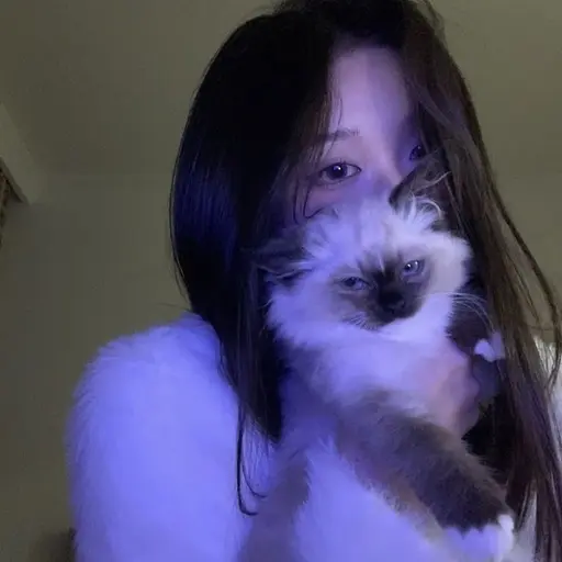 Se0.x6o의 이세연