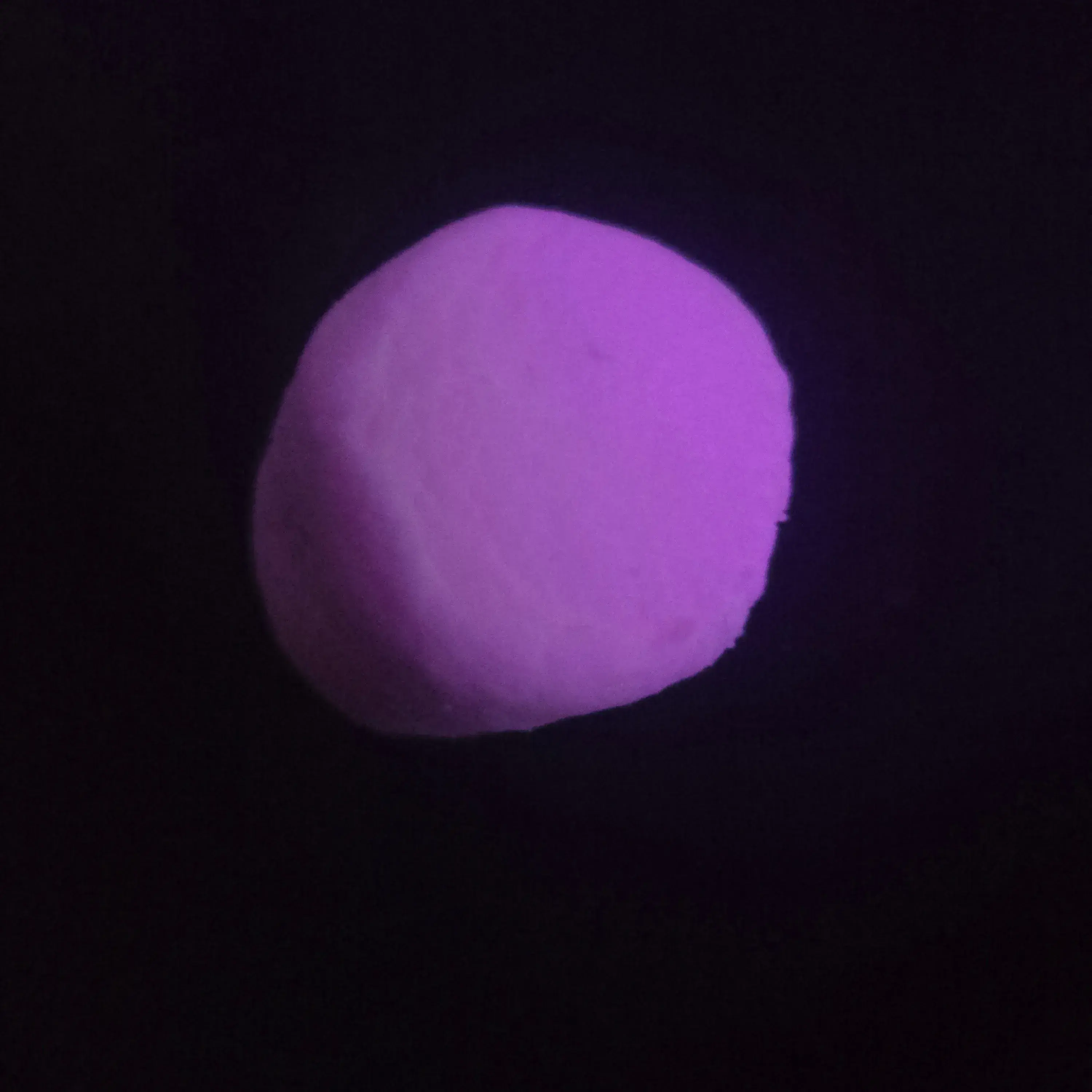 SturdyModem7429의 Diane foxington