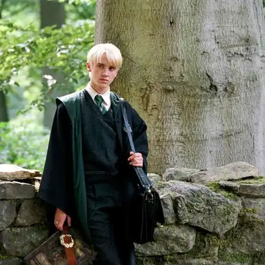 Profile image of Draco Malfoy