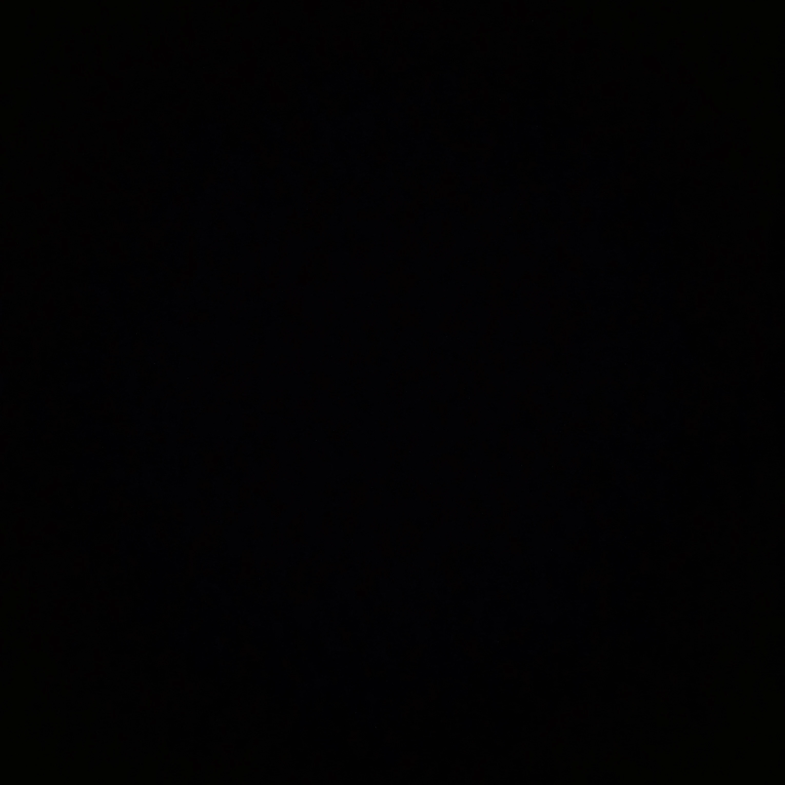 타대오
