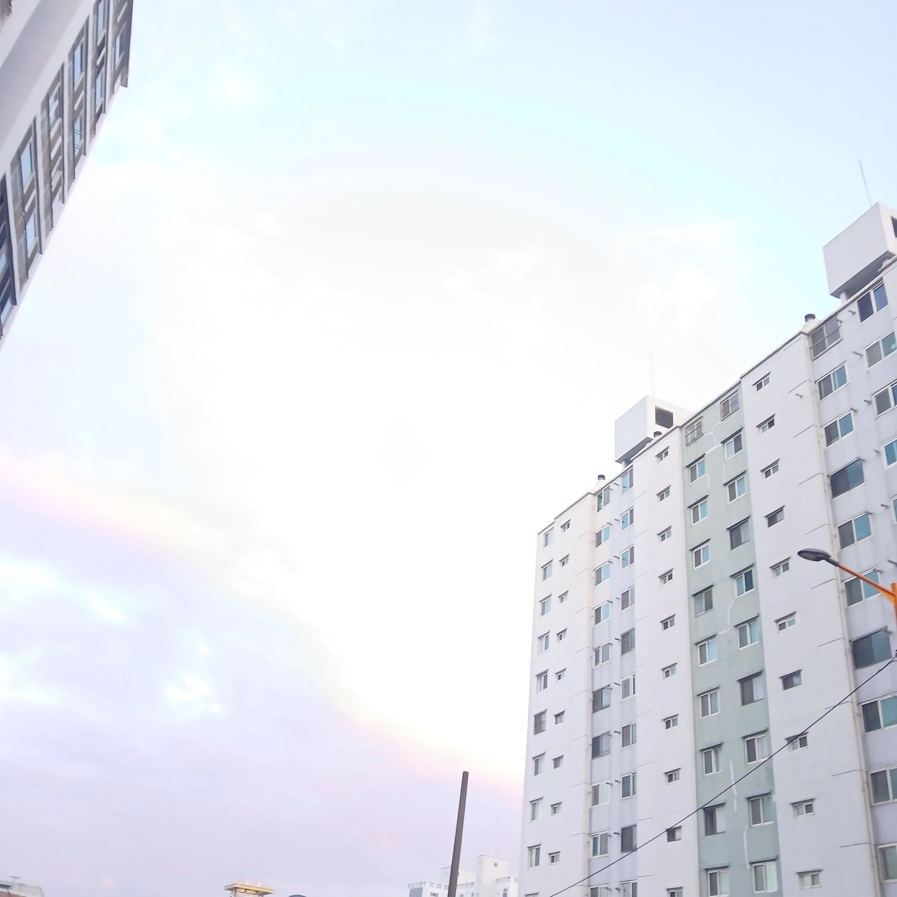 FolksyChime3893의 뜰팁+요정즈 학교물 유저 공룡