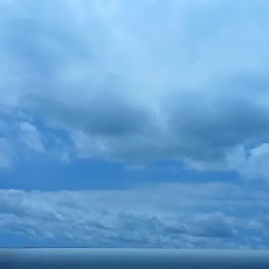 Profile image of 배드로