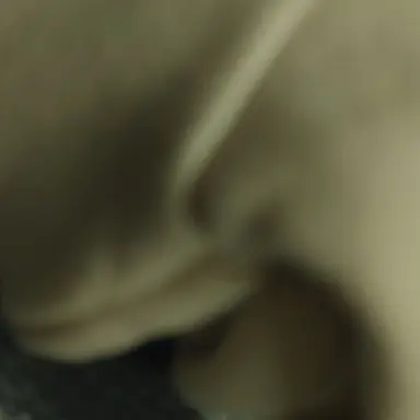 Profile image of 평학