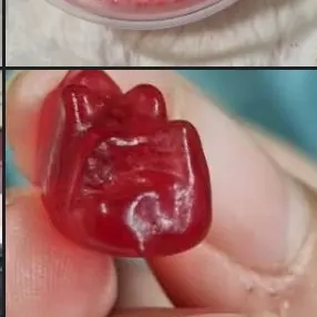 Profile image of 라더