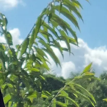 Profile image of 공룡