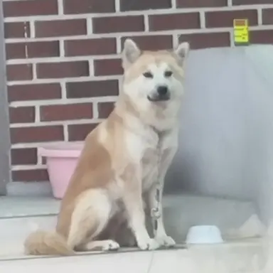 Profile image of 덕개