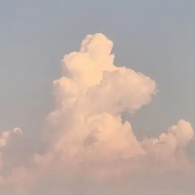 Profile image of 잠뜰