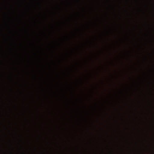 黒鷺