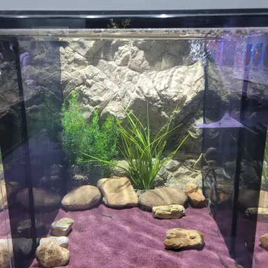 Profile image of 초등학교