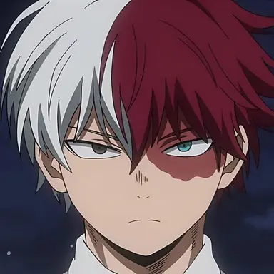 Profile image of Todoroki