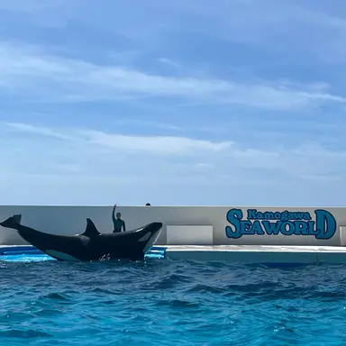 Profile image of ジウン