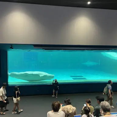 Profile image of サンヒョン