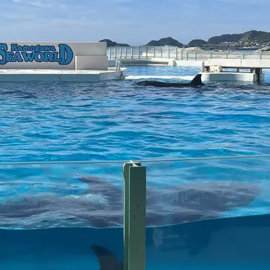 Profile image of ウジン