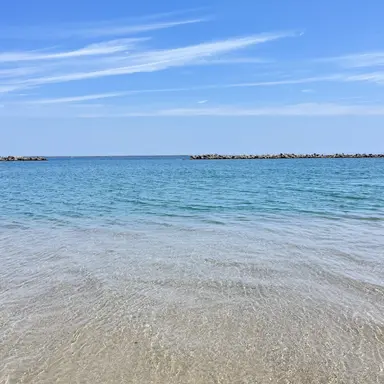 Profile image of サンウォン