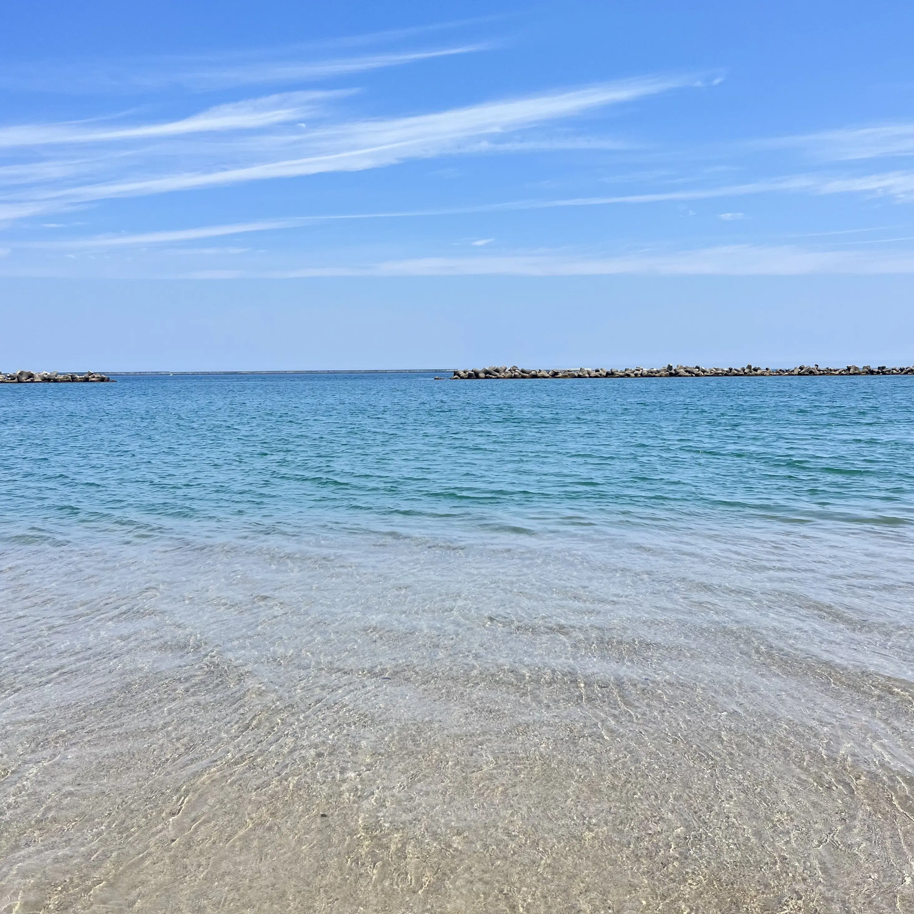 VainLily6107의 今日好きになりました。ボイプラ編