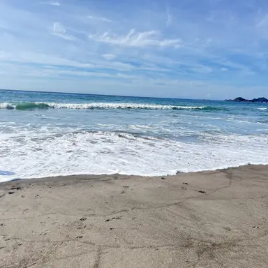 Profile image of ゴヌ