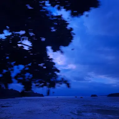 Profile image of 백사현