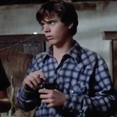 Profile image of Ponyboy Curtis