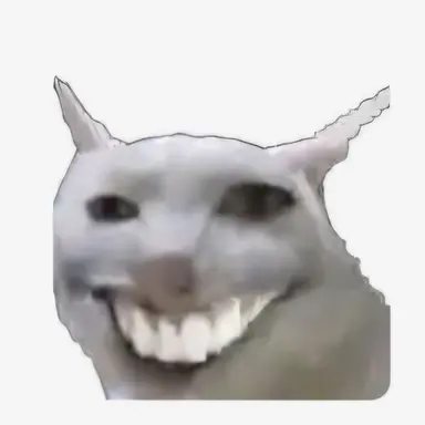 Profile image of 오재콩
