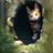 にゃんにゃん